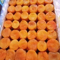 قیصی درجه یک صادراتی