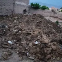 بارکودگوسفند