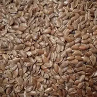 عمده تخم کتان|خوردنی و آشامیدنی|شیراز, باغ تخت|دیوار