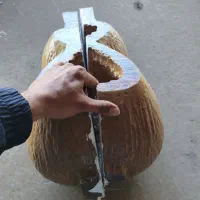 چوب تار کپی شده خشک و آماده به کار