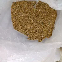 بذر یونجه