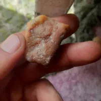 سنگهای قیمتی|کلکسیون اشیاء عتیقه|برازجان, |دیوار