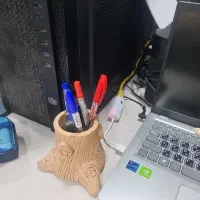 نیروی کار خانم