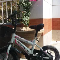 دوچرخه شماره ۱۲