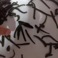 ساختمان پزشکان سبز