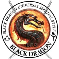 آموزش هنرهای رزمی