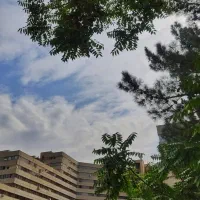 نظافت چی و آشپز  خانم مجرد