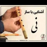 آموزش نی