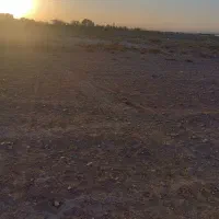 دو عدد زمین 140متری شریف آباد روستای قرمز تپه|فروش زمین و ملک کلنگی|تهران, انبار نفت|دیوار
