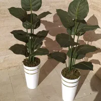 درختچه|گل مصنوعی|کوهدشت, |دیوار