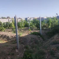 فروش باغ در