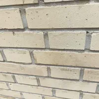 شستشوی آجر سند بلاست آجر اجرای کنتکس و نانو رزین|خدمات نظافت|شیراز, معالیآباد|دیوار