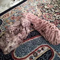 سنگ مرجانی|کلکسیون اشیاء عتیقه|تهران, افسریه جنوبی|دیوار