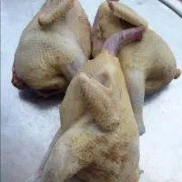 مرغ ، اردک ، بوقلمون تازه