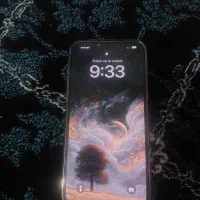 اپل iPhone 13 Pro Max با حافظهٔ ۲۵۶ گیگابایت|موبایل|کردکوی, |دیوار