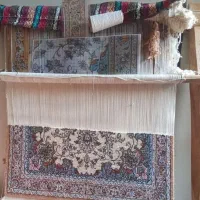 باسلام قالی ۷صدتایی چله نخ برای فروش