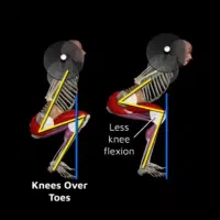مربی خصوصی بدنسازی و توانبخشی(منزل و باشگاه)