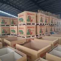 تولید باکس کارتنی هندوانه صادراتی