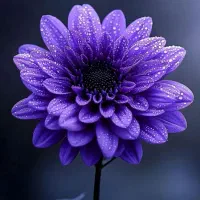 دنبال کار در منزل هستم