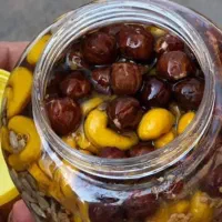 سردی مفاصل رماتیسم|خوردنی و آشامیدنی|تهران, یافت آباد شمالی|دیوار