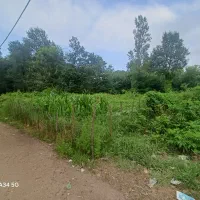 زمین در پایین نرکه