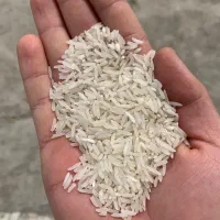 برنج فجر گرگان درجه یک
