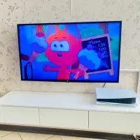 تلویزیون LG 49 اینچ|تلویزیون و پروژکتور|بندرعباس, |دیوار