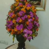 پایه گل ارکیده تازه