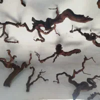 طراحی داخلی سنتی