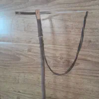 تله|لوازم جانبی حیوانات|شاهینشهر, شهرک گلدیس|دیوار