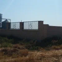 مسئول کنترل کیفی جهت تخلیه گندم