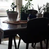نهار خوری ۶ نفره،سالم و زیبا