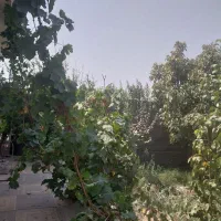 اجاره چهار دیواری تجاری|اجارهٔ دفتر صنعتی، کشاورزی، تجاری|شریف‌آباد, |دیوار