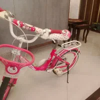 دوچرخه ۱۶ بونیتو