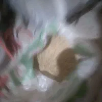 گندم|خدمات باغبانی و درختکاری|قره ضیاالدین, |دیوار