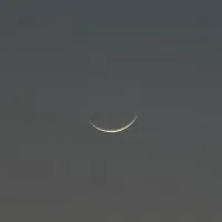 معاوضه گوشی اس ۲۴ با موتور سیکلت