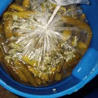 ترشی وخیارشور به صورت عمده|خوردنی و آشامیدنی|اهواز, فرهنگ شهر|دیوار