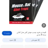 چسب موش