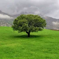 اخلمد-پشت-دهکده-آرامش