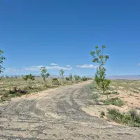 فروش زمین ۲۰۰ متری در نوچاه ۹۵ملیون اقساطی
