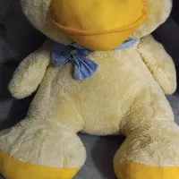 عروسک|اسباببازی بچه|مسجد سلیمان, |دیوار