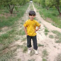 فروش باغ ثمری