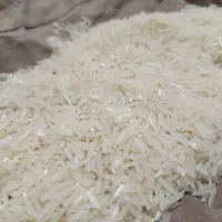 برنج فجر سوزنی نودروزه....|خوردنی و آشامیدنی|خان ببین, |دیوار