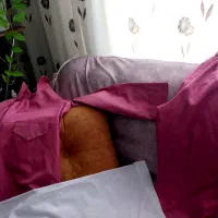 فرم ششم دبستان مریم خسروی
