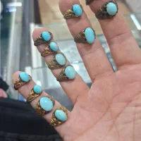 فیروزه اجمی