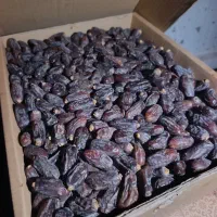 فروش خرما ربی درجه یک