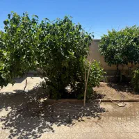 ملک-ویلایی-کلنگی-انتهای-کمیل