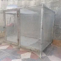 قفس مرغ و خروس|لوازم جانبی حیوانات|شیراز, دست خضر|دیوار