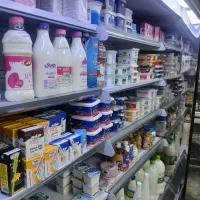 فروشنده لبنیات