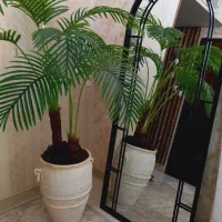 آیینه قدی|آینه|تهران, استاد معین|دیوار